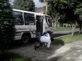 burro y felipe la caida