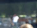 Lollapalooza