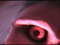 Re: SAW IV 10-26 - Save Yourself and Respond to this Video Re: SAW IV 10-26 - Save Yourself and Respond to this Video