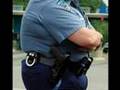 Fat Cops