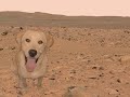 life on mars!!!