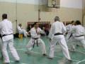 videos de Shmulik - Ten-No-Mon (30.11.08 rank tests)