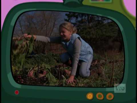 how to grow a plant tvo