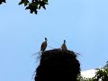 Eva und Albert - Paco