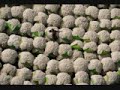 French photographer Yann Arthus-Bertrand