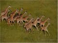 French photographer Yann Arthus-Bertrand