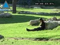 Un momento de descanso en el Parque de la Independencia