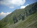 borsa maramures