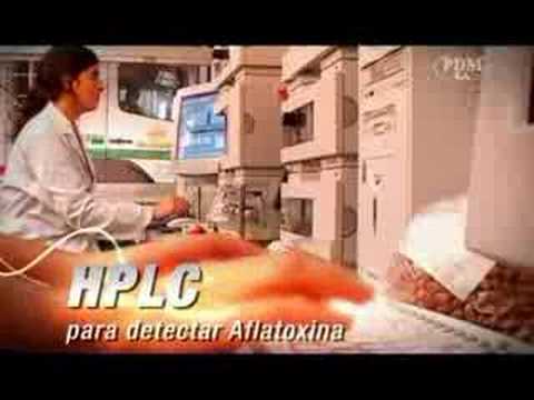 VIDEO CORPORATIVO - PDM 2006