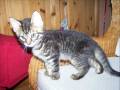 videos de Finn und Alex.wmv