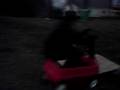 Robby off the jump take 1