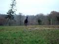 Lord venant vers moi.MPG