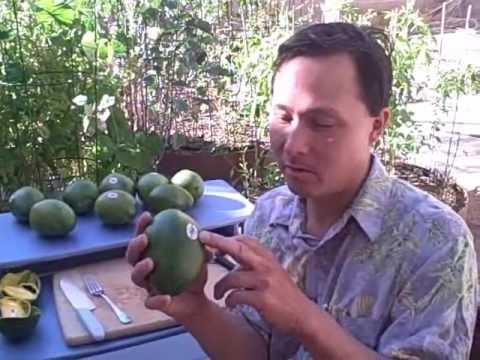 how to eat a mango skin