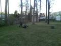 videos de Greatest catch the world has ever seen (on sportscenter)