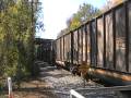 CSX EB Q-438 CSX EB Q-438