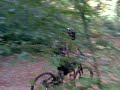 Gurten Trail Gurten Trail