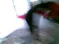 the old chair trick 1