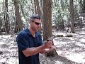 beretta .40 brigadeer colt .38 super mark 4 ppk .380 mag dumps