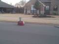 a true story - Speed Racer