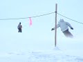 Shinshu Telemark Pole Lesson