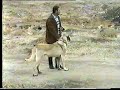 AKsaray MALAKLI n?n HASI BETOO AKsaray MALAKLI n?n HASI BETOO