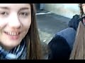 Зоофилы