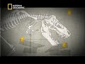 preview dino autopsy 3   national geographic channel