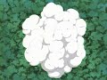 Naruto amv Animal I have become Naruto amv Animal I have become