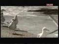 ESSAOUIRA DOCUMENTAL Essaouira SABORES DE MARRUECOS 3 de 4
