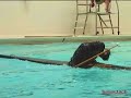 greenland style kayak rolling pool session greenland style kayak rolling pool session