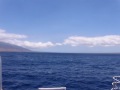 videos de Pride of Maui - Boat Ride to Molokini - June 2009 - Maui, HI Sailing