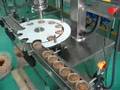 Packing machines:DCS-2A-2 for Powder