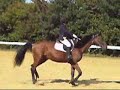Nous re-voilà, ici aux portes ouvertes du club.On fait une représentation de dressage sur la E3 (Truffy a été vraiment génial, malgrès ce manque incroyable d'incurvation!xD).Suivra le saut ainsi que les jeux, mais je n'ais pas de vidéo :(En tout cas, journée innoubliable avec les filles (les poon's et les trotteur's en force, ou le cours du mardi soir, au choix!xD) et surtout avec truffy ^^