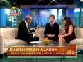 McCain-Palin 'Civil War'