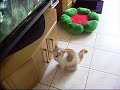 film kijken