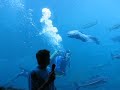 Acuario en Alesund Noruega.