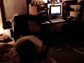 amature ufc 3