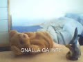 Muffe och Friskis och Svettis Muffe och Friskis och Svettis