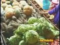 www.7vn.com