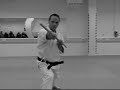 Karate Kobudo Budo Akatemia, Finland