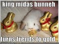LOLCATS  n Lolbunnies  Frohe Ostern Happy Easter  XXIV
