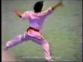 Wushu Yuan Wen Qing Chang Quan (LONG FIST)