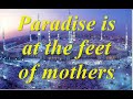 Sayings of Prophet Muhammad (s.a.w)