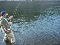Fighting an Idaho Steelhead