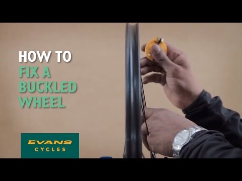 evans cycles evans cycles