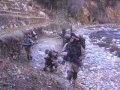 Operation Enduring Freedom IV