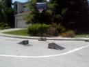 bIKE jUMP