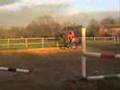 Tribute to nipper the best pony ever
