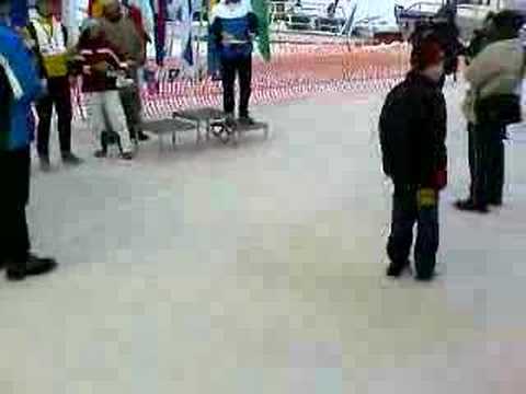 Second Skating Marathon of ...