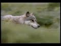 Horicon National Wildlife Refuge - WWLCF part1